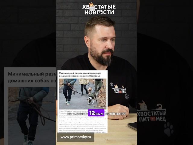 Хвостатые Новости со всего мира! Целиком выпуск смотрите на канале. Ссылка выше) #животные #новости