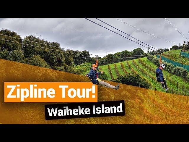  Waiheke Island Zipline Tour with EcoZip Adventures – New Zealand's Biggest Gap Year