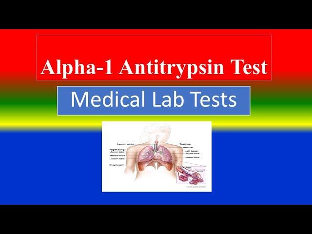 Alpha-1 Antitrypsin Test  -  - What is?  , Uses , Need , Risk , Preparation, Results