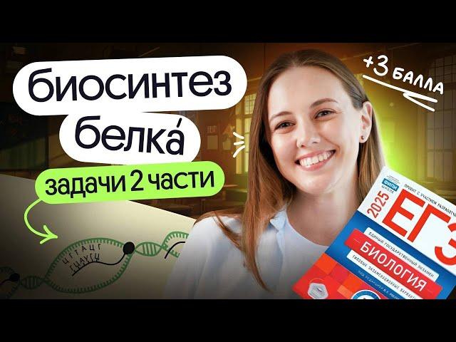  Биосинтез белка | задачи линии 27 | вторая часть ЕГЭ по биологии 2025