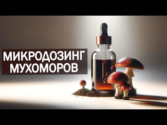 Микродозинг МУХОМОРОВ: Курс, Дозы, Эффекты