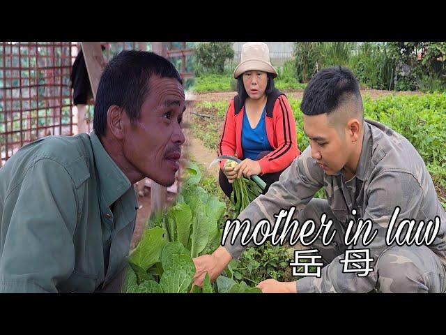 Hằng's Mother-in-Law Causes Chaos in Linh Hong's Family! Sung A Pao