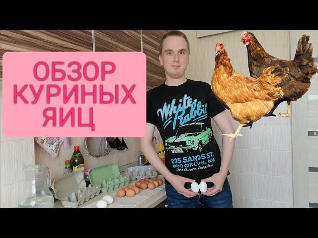 Куриные яйца польза и вред/Какие яйца бывают