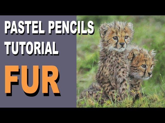 How to Draw / Paint Fur with Pastel Pencils ~ Tips and Technique. Narrated Tutorial