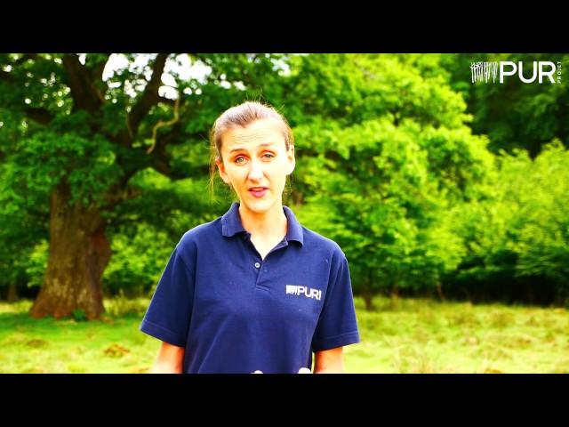 2 millionth tree planted in Romania through the "Plant for the Planet" program