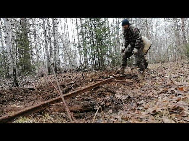 Все из за метало копа.По следам Макса.