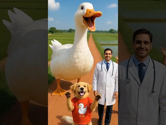 Poor Puppy Saves Duck Stuck in Haystack – Heartwarming and Funny Animal Rescue Story #puppy #duck