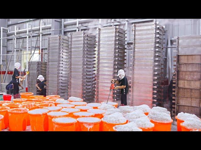 Radish Cake (Turnip cake) mass production, Traditional Taro Cake/驚人的蘿蔔採收, 曾記蘿蔔糕大量生產 -Taiwanese Food