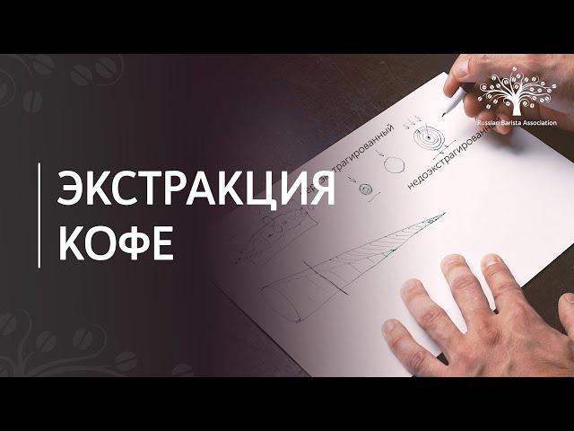 Как улучшить вкус кофе? Разбираем понятие экстракции.