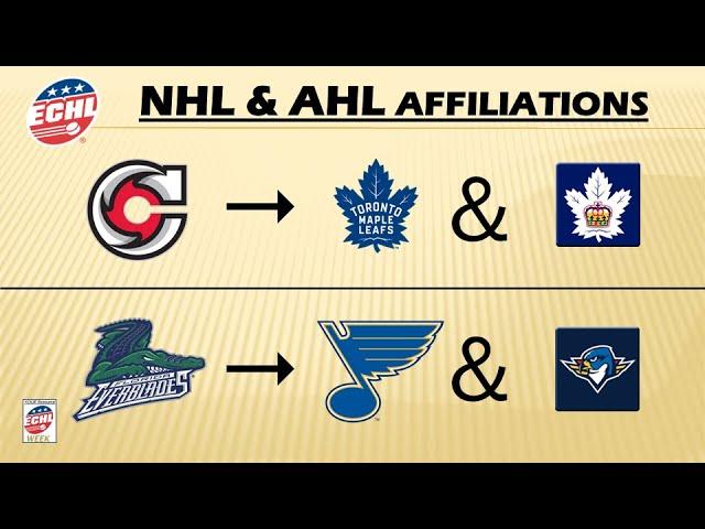 2024-25 ECHL-NHL-AHL affiliations