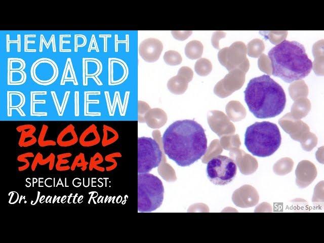 Hemepath & Hematology Board Review: Peripheral Blood Smears with Dr. Jeanette Ramos