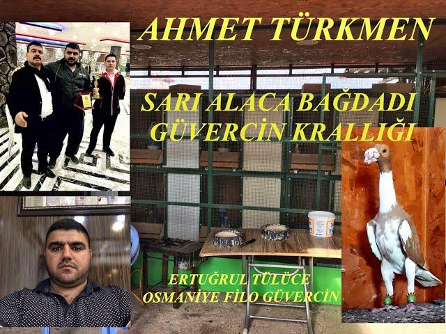 AHMET TÜRKMEN * SARI ALACA KARİYER BAĞDADI GÜVERCİN KRALLIĞI * OSMANİYE FİLO GÜVERCİN