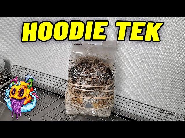 All In One Mushroom Grow Bag Fruiting Conditions "HOODIE TEK" - S2 EP4