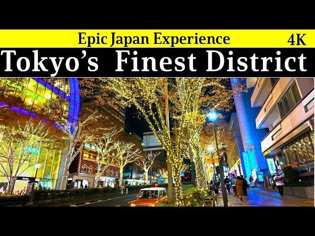 4K Japan, Tokyo: Tokyo's Finest District "Omotesando"  food and art tour