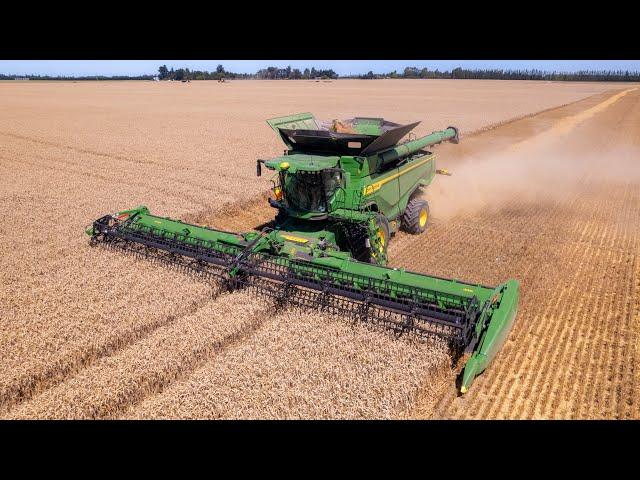 John Deere X9 1100 - Harvesting Wheat