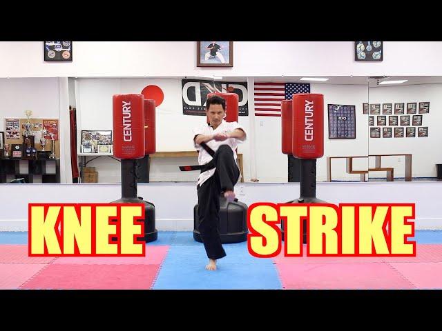 KARATE Lesson 15 - Knee Strike