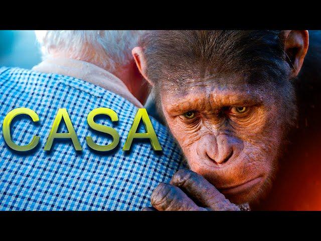 César Está Em Casa! (Filme Lindo) Planeta Dos Macacos: A Origem