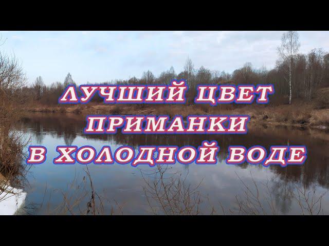 Лучший цвет приманки в холодной воде. Какой цвет работает по судаку! Просто Приманка Бомба!