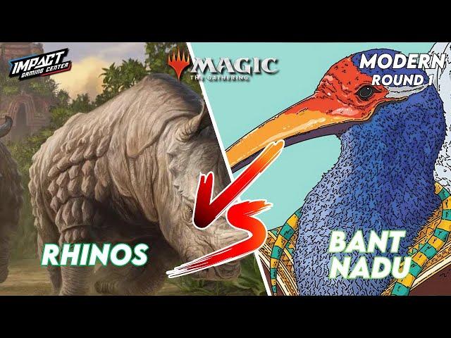 Rhinos (Tom F) VS Bant Nadu (Micah M)  [PAPER] | Modern FNM at Impact Gaming Center