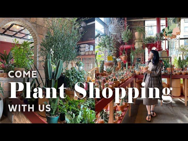 Brooklyn Must-See Plant Shops Tour - NYC House Plant Shopping 2021