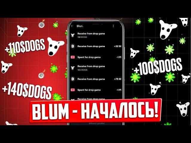 BLUM - БОЛЬШЕ ОБНОВЛЕНИЕ! ДРОП $DOGS В DROP GAME! МОНЕТ $DOGS НЕ ХВАТИТ НА ВСЕХ?