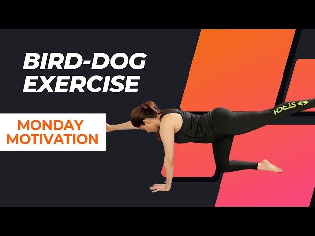 Monday Motivation: Bird-Dog Exercise! #bhagyashree #exercise #workout #motivation