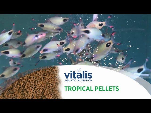 Vitalis Tropical Pellets