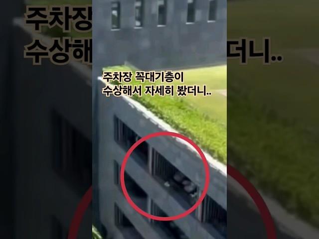 주차장 꼭대기층이 수상해서 자세히 봤더니..