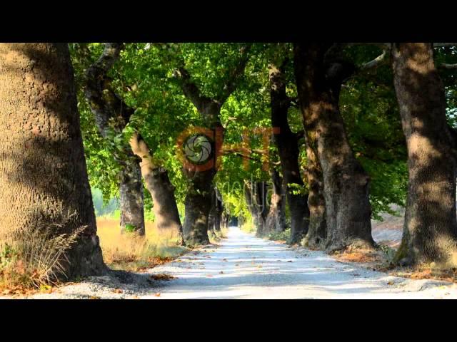 CHT Medya, Gölbaşı Ağaçlı Yol Timelapse...