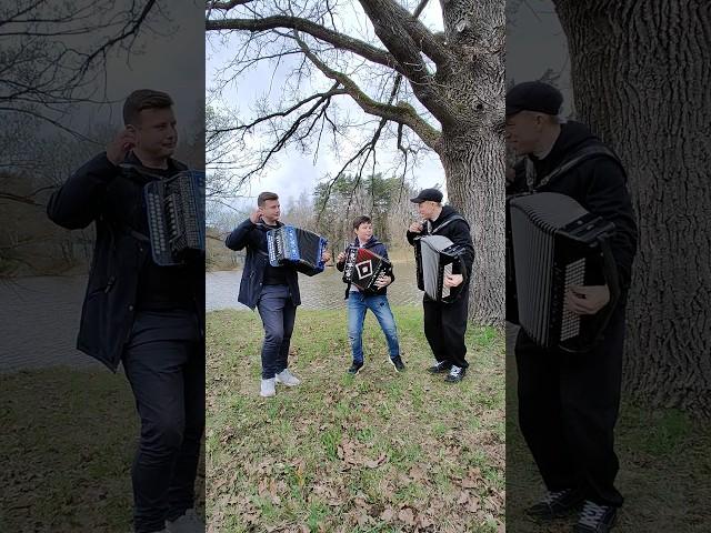 Трио бомба???🪗 "Яблочко" на гармони @AndreyKirMusic @garmon_gosh #гармонь #баян #shorts