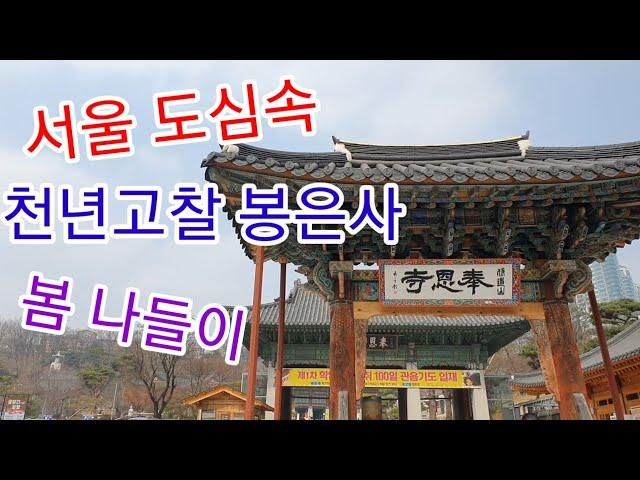 서울 도심속 천년고찰 봉은사 봄나들이(#봉은사#천년고찰#서울여행하기좋은곳)
