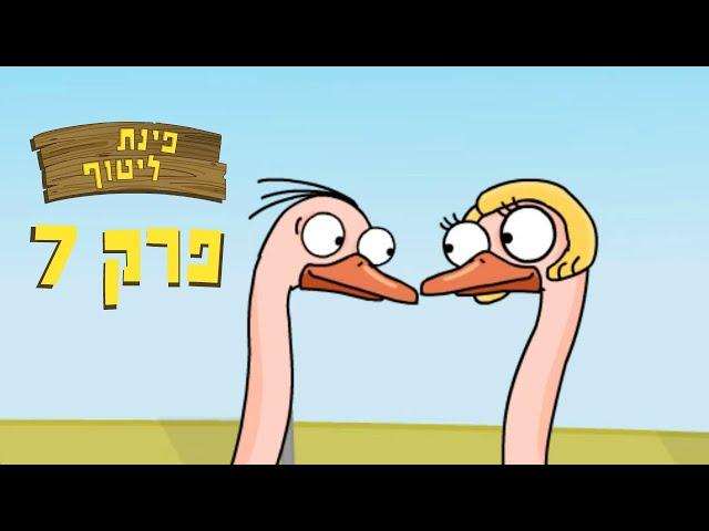 ניר וגלי פינת ליטוף - ראש בחול