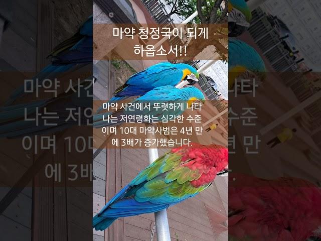 [마약 청정국이 되게 하옵소서] - 나라와 교회를 위한 기도