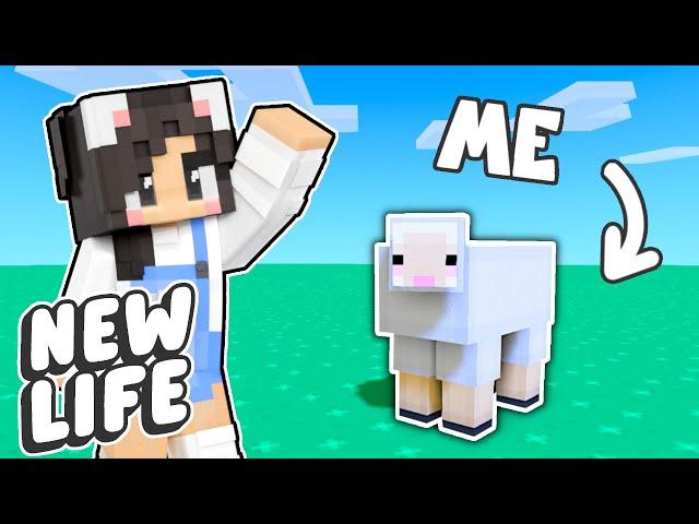 Minecraft BUT I'M A SHEEP! New Life SMP #5