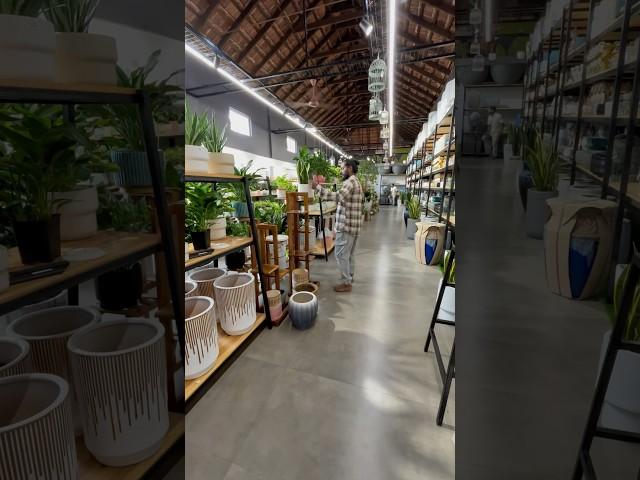 Indoor garden centre visit #plants #shortsvideo