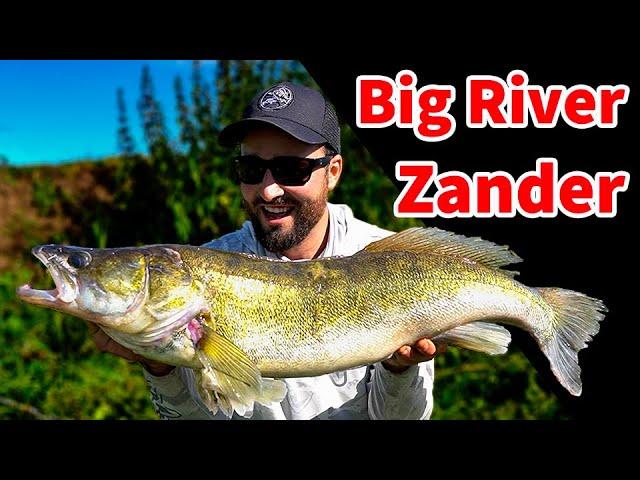 HOW TO CATCH RIVER ZANDER ON LURES UK- summer-