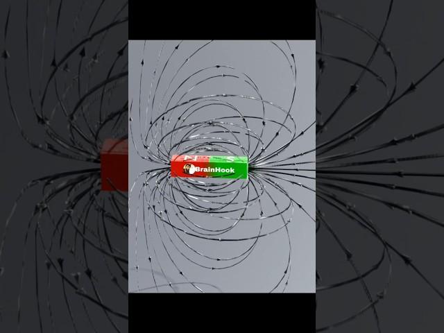 What is the magnetic field? #brainhook