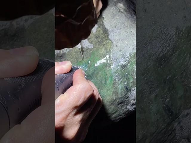 #缅甸原石 #缅甸翡翠 #天然翡翠 南齐大色料开了 #翡翠 #古玉收藏 #翡翠原石 #jade #玉佩 #翡翠手鐲 #crystals #以石会友 #熱門 #翡翠鉴定