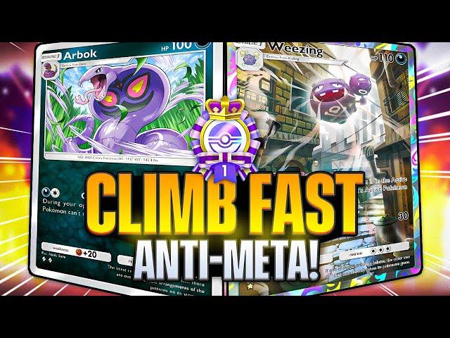 THIS ANTI-MEWTWO EX META Deck got me to Gold Rank Easily!!!【Pokemon TCG Pocket】