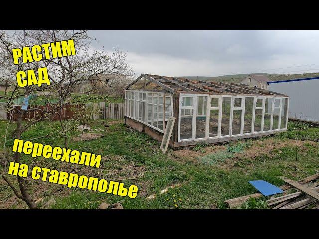Теплица из старых деревянных рам.  Переезд на Ставрополье