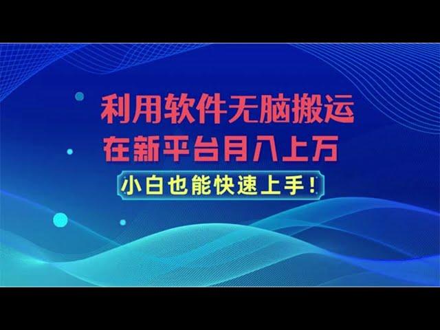 0289【副业项目详解】利用软件无脑搬运，在新平台月入上万，小白也能快速上手