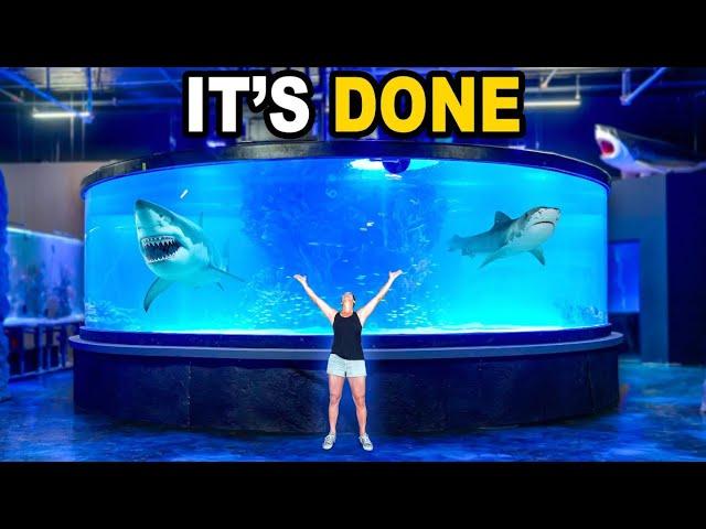 My 30,000G Shark Tank Is Finished!