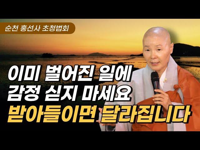 내 삶의 주인공으로 사는 법 | 이미 일어난 일에 저항하지 않고 수용하기 | 마음의 애완동물이 되지 말자 | 순천 홍선사 법회