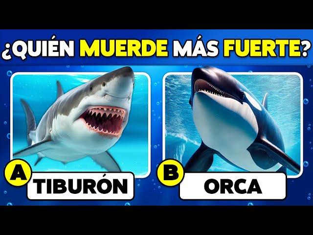  ¿Cuánto Sabes de los ANIMALES del MAR? Trivia de CULTURA GENERAL