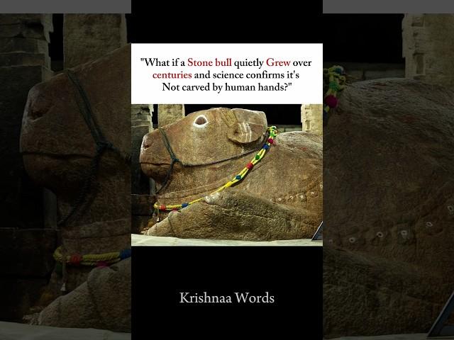 The Stone Bull That Grew Itself?  #shorts #spiritualawarness