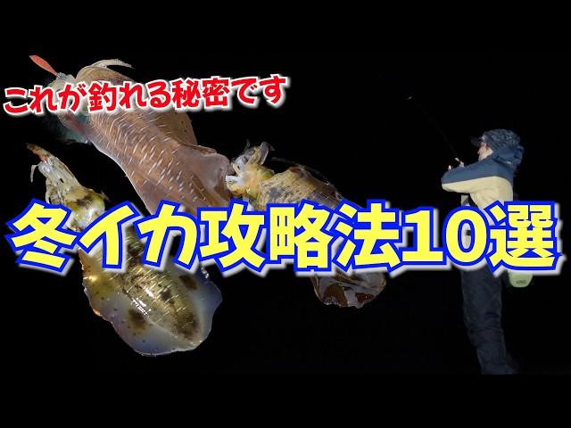 冬イカ釣れないって何？確実に釣れる確率があがる【冬エギング攻略法10選】