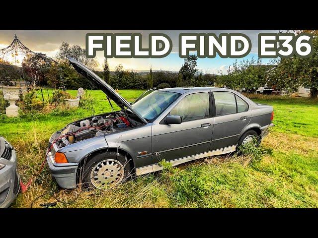 Buying a field find BMW E36 - how bad is it?