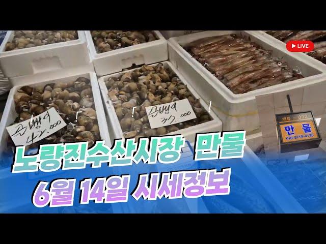 6월 14일 노량진수산시장 만물 (패류031) 시세정보 입니다. 35년 경력으로 믿고 찾아주세요