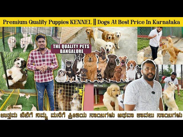 QUALITY PUPPIES EXOTIC DOGS | IMPORTED DOGS,PUPPIES FOR SALE