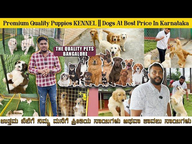 QUALITY PUPPIES EXOTIC DOGS | IMPORTED DOGS,PUPPIES FOR SALE